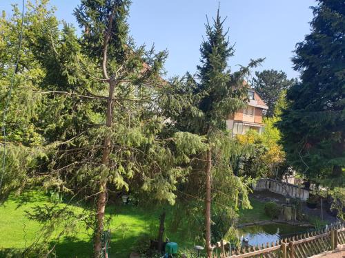 Kehl Apartment | Relax City Apartments