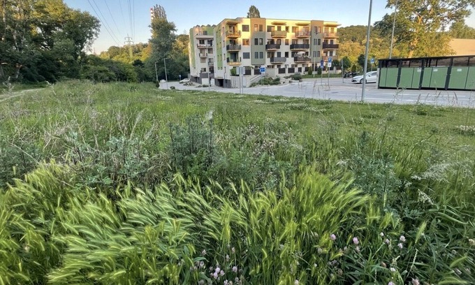 Dubravka Apartment | Relax in Nature, Close to Old Town, King Size Bed, Free Parking, Pet-Friendly