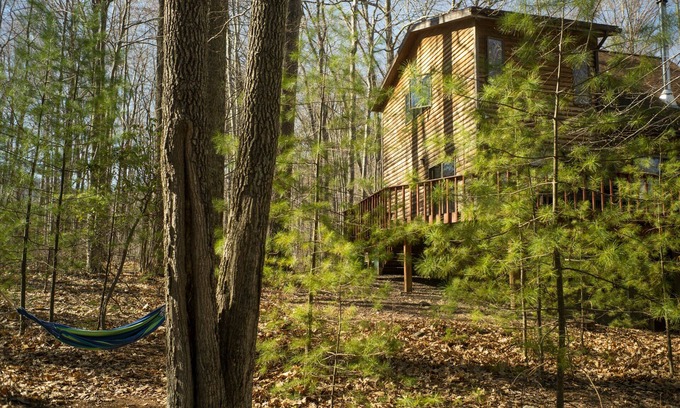 Willow House | Relaxing House in Catskills Forest Near Pretty Pond - near Woodstock/Phoenicia.