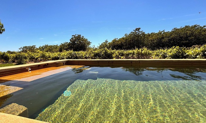 Saint-Pierre-de-Vassols Other | Renovated Mas at the Foot of Ventoux 10/12 People With Swimming Pool