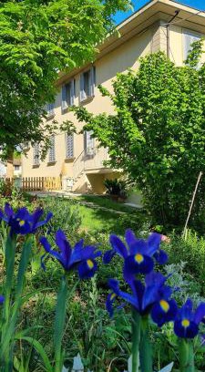 Mornico Losana Apartment | Residenza Rosmarino CASA GUARNONE