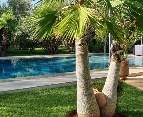 El Aggada House | Riad les deux citronniers