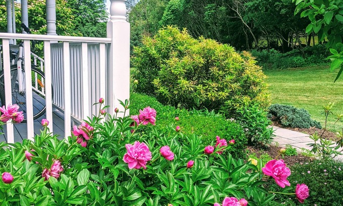 Sheffield House | River Orchard Meadow