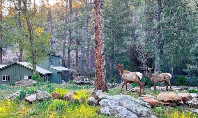 Whispering Pines Cabin | Riverside Hideaway: Peaceful Forest Cabin with Private River & Red Rock Views