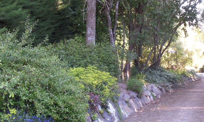 Geraldine Bed & Breakfast | Riverstone House