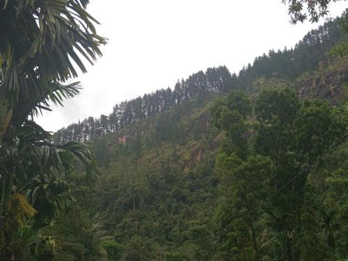 Ukuwela House | Rock View Holiday Bungalow