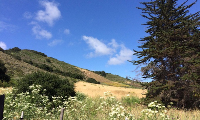 Carmel Cottage | Romantic Couples Cottage, Artist-Writers Retreat in Carmel Valley Wine Country