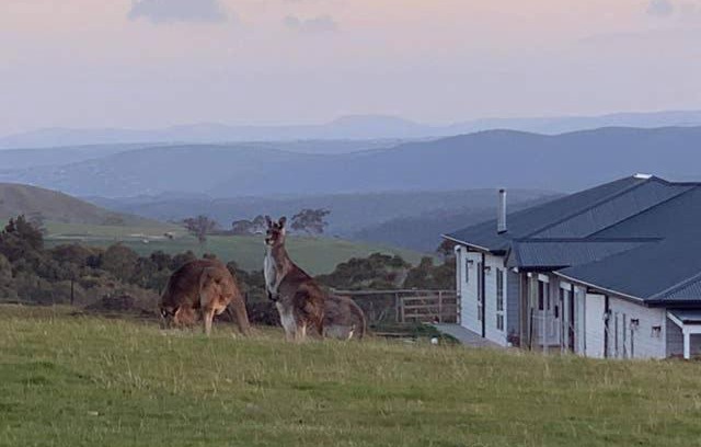 Bullengarook Bed & Breakfast | Rooks Edge