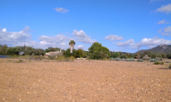 Felanitx House | Room for 2 people with swimming pool access, outdoor shower, peace and nature guaranteed.