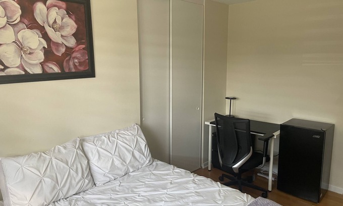 Downtown Gatineau House | Room for rent for student or worker (only ladies accepted)