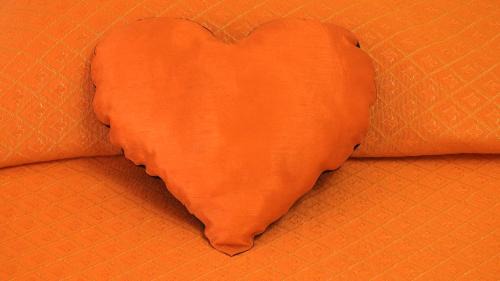 Castelnuovo Magra House | Rose Apartment