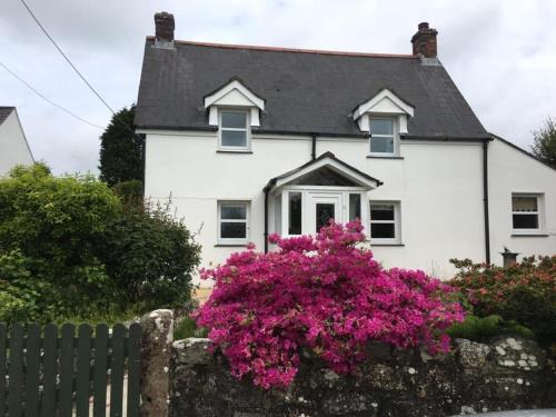 St. Columb Major House | Rose Cottage Bee Happy anex