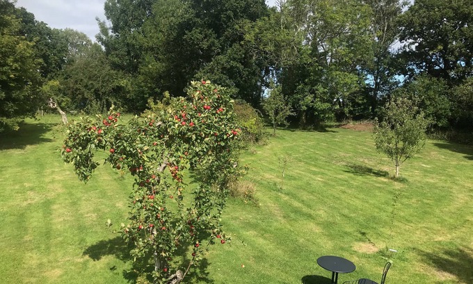 Etchingham Bed & Breakfast | Rosebank Bed & Breakfast