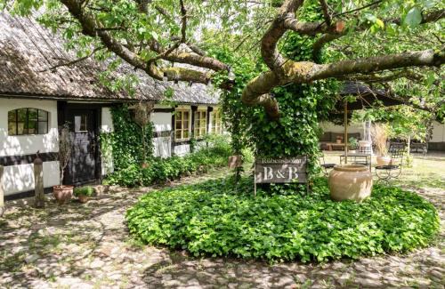 Andrarum Bed & Breakfast | Rubensholm Bed & Breakfast