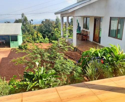 Luhizha House | Ruhija Gorilla Guest House