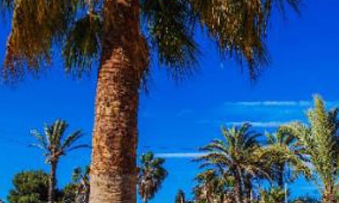 Diputacion de Rincon de San Gines Villa | Rural house in La Manga, ideal for families, pets allowed