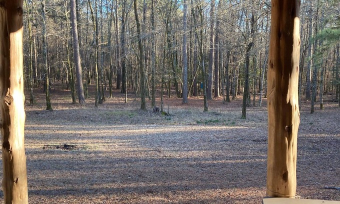 Amity Cabin | Rustic Cabin on 60 acres of wooded land.