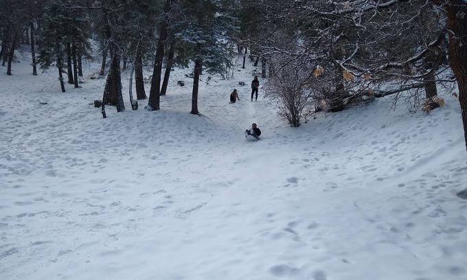 Big Bear Lake Cabin | Rustic Cabin/Quiet Area/Next to Forest/Feet From Hiking Trails/Hot Tub/Garage