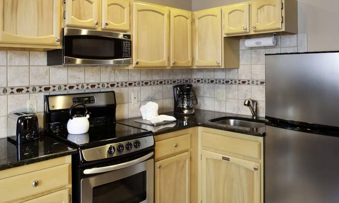 Steamboat Springs Condo | Rustic Condo with Stunning View of Mt Werner