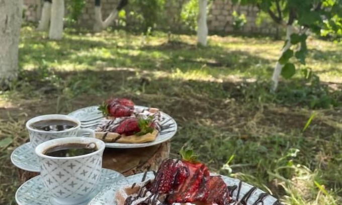 Yerevan House | Ruz & Arian Near Zvartnots Airport