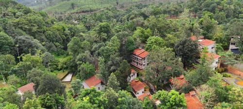 Kunnathidavaka Resort | Safari Hills