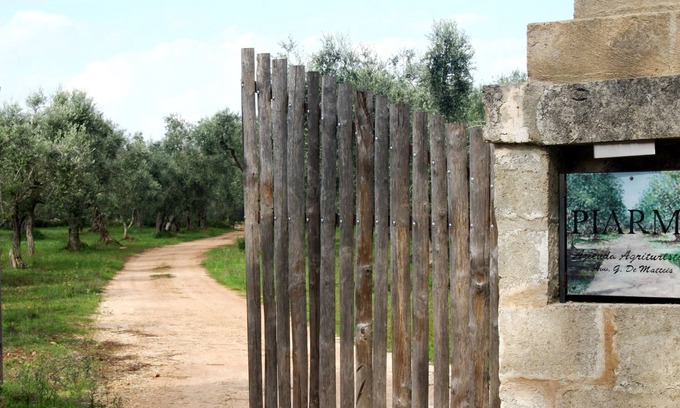 Andrano House | Salento rural residence immersed in an olive grove