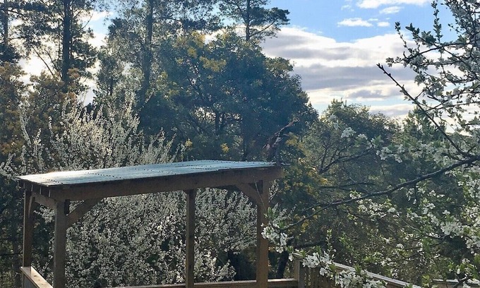 Daylesford House | Salt Spring Art Retreat;