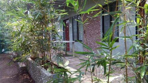 Tivarekar Wadi Bed & Breakfast | Samartha Cottage, Varsoli