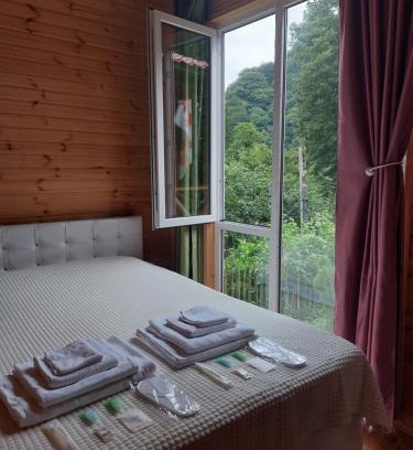 Guria House | Saminavo