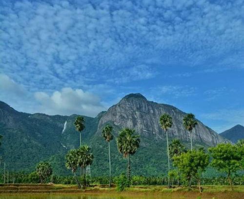 Chittur Villa | Santhoshinte Farm stay Kollengode