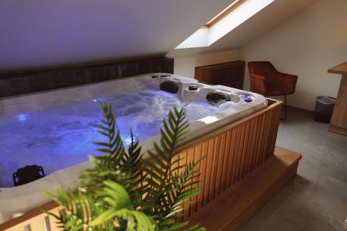 Pozega Hotel | Sax-Win