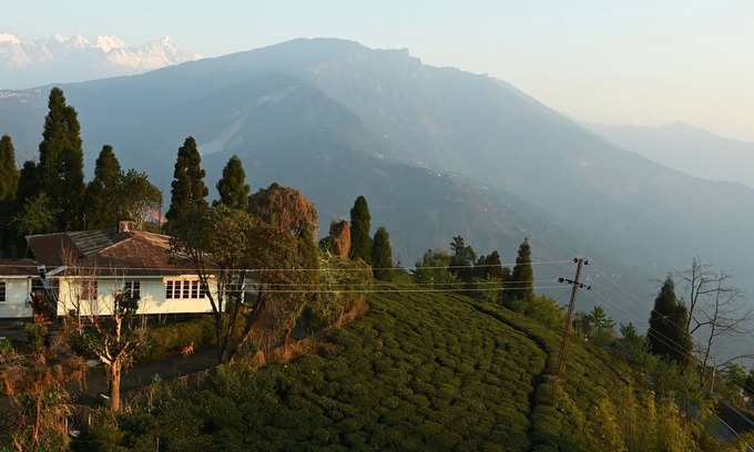 Namchi Bed & Breakfast | SAY Anita's Temi Guest House