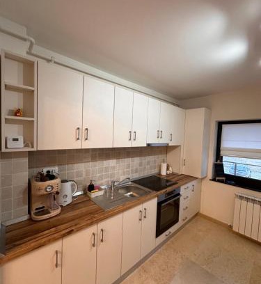 Piatra Neamt Apartment | Scandinavia Mountain View Apartment