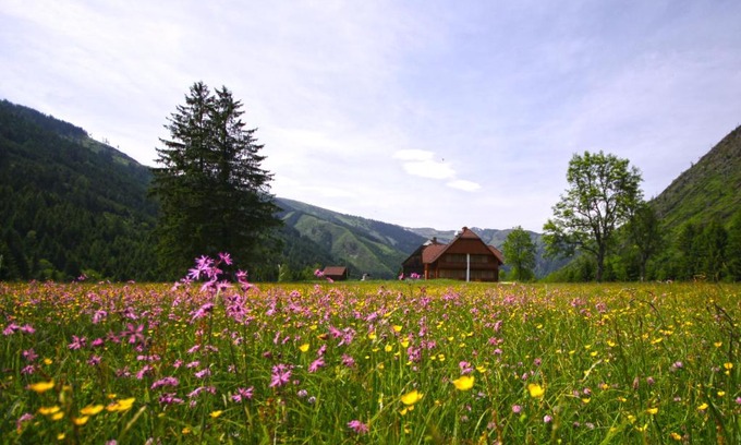 Donnersbachwald Apartment | Schaffergut Appartements