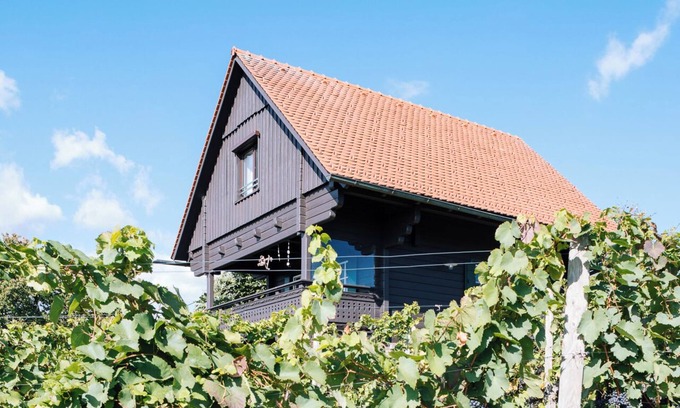 Sankt Stefan ob Stainz Ski Chalet | SCHILCHERLANDLEBEN House in the vineyard