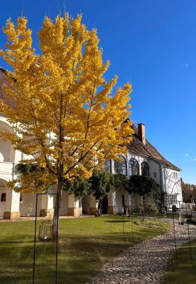 Welten Apartment | Schloss Welsdorf