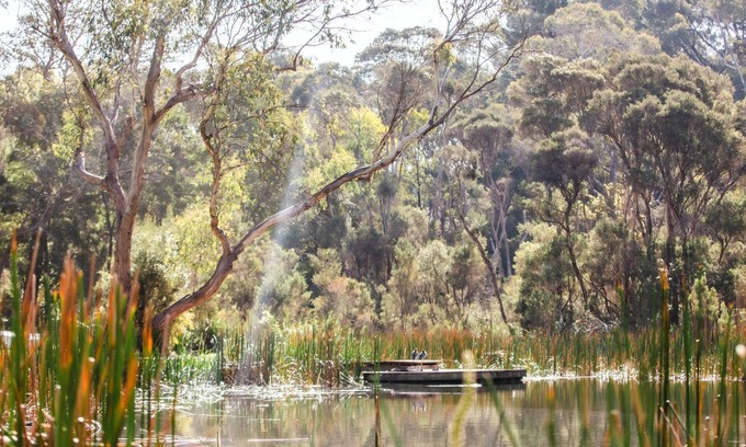 Red Hill House | Scribbleswood in the heart of Red Hill.