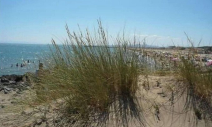 Saint-Pierre-la-Mer House | Sea and pool in nature park 2