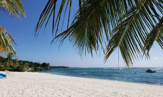 Savannah Condo | Seaing Spotts: Secluded Beachfront Suite Grand Cayman Caribbean Blue water!