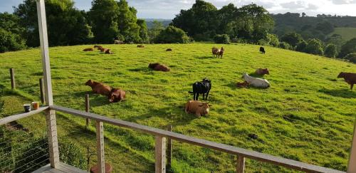Maleny Bed & Breakfast | "Seasons of Maleny B&B"