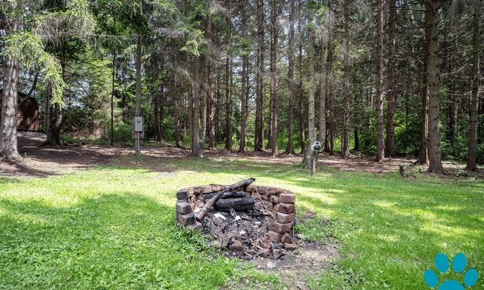 Scottsburg Cabin | Secluded Cabin, 7ac, Pets, Fire Pit, Wine & Parks