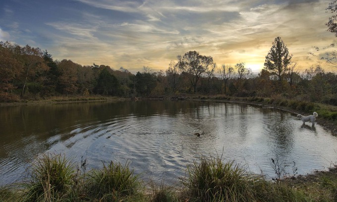 Zion House | Secluded Estate Sleeps 8 with 1 acre fishing pond
