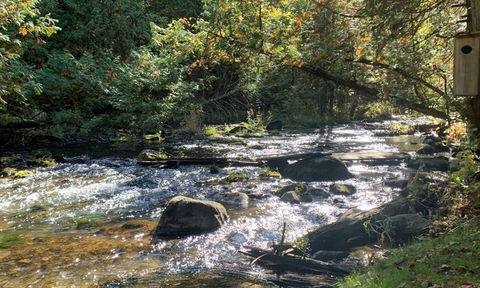 Warkworth House | Secluded modern house, 5 forested acres, running stream, hot tub, game room