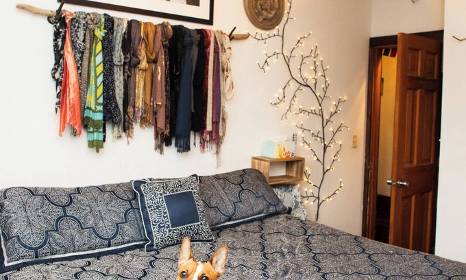 South End Apartment | Secret Garden in the south end, amazing location!