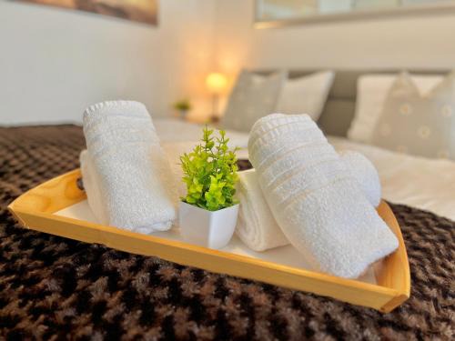 Ueberlingen Apartment | Seenest 'Brise' mit Parkplatz