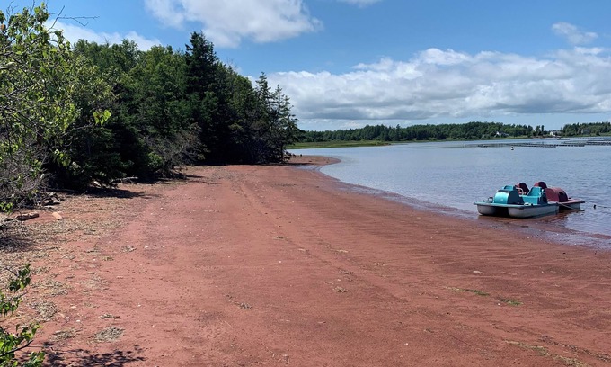 Prince County Cottage | Semi-private beach, huge screened in deck, woods on fenced in property.