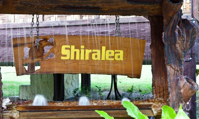 Haad Yao Resort | Shiralea Backpackers Resort