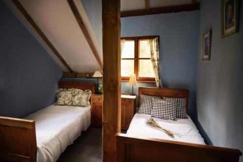 Plajny House | Siedlisko pod dębem Kalnik