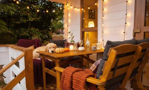 Radkow Ski Chalet | Sielankownia