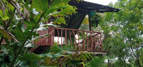 Sigiriya House | Sigiri Panaromic Tree House